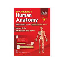 BD Chaurasia’s Human Anatomy Volume 2 Lower Limb Abdomen and Pelvis 10th Edition | Medical Anatomy Textbook